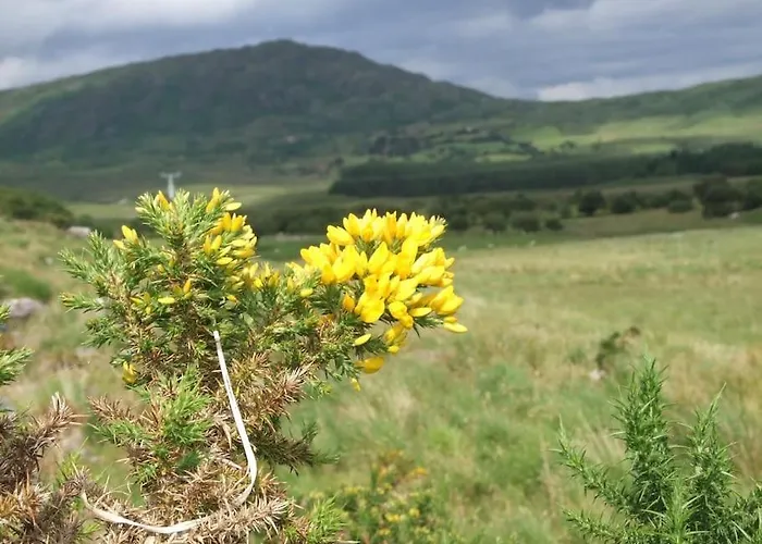 Grace's Landing 度假居
